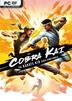 Cobra Kai The Karate Kid Saga Continues ราคาถูก